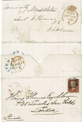 Picture 1 for Lot from David Morrison