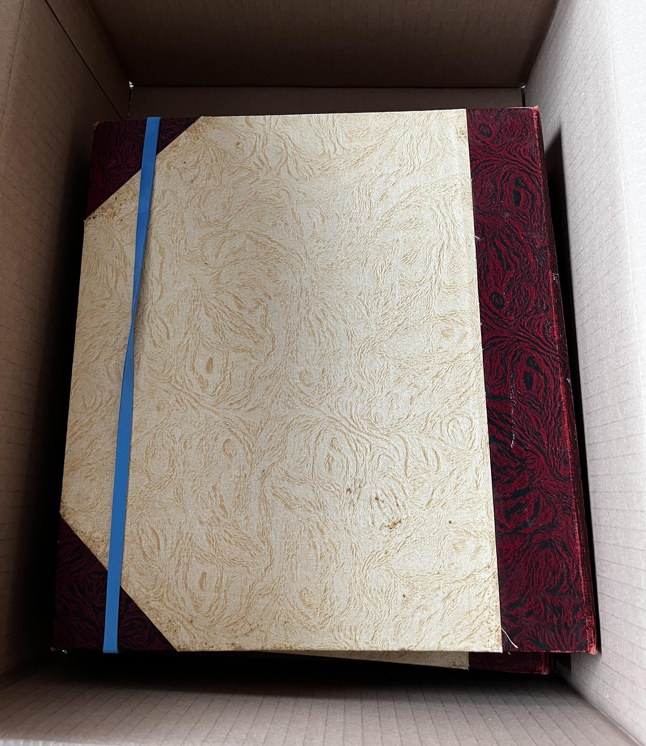 Animals - Horses: 1860's-1980, extensive collection in two thick ...