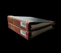 1919-1940, in two large Yvert albums, a very beautiful complete ...