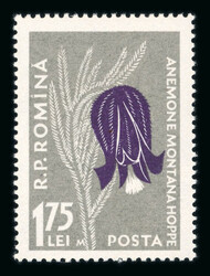 1957 Carpathian Flora errors, 1.55L & 1.75L flower stamps with ...