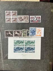 Animals - Horses: 1860's-1980, extensive collection in two thick ...