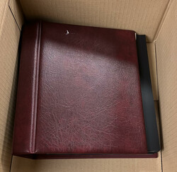 1920-2001, Pro Juventute Posten, dabei Satzbriefe ab 1920 bis 2001 ...