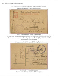 Swap image