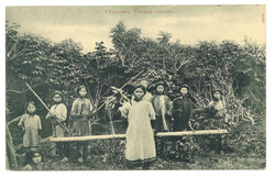 Swap image