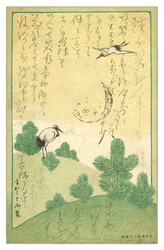 Swap image