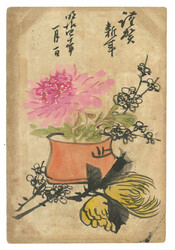 Swap image