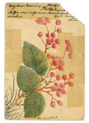 Swap image