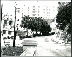 1950s large size press photo (24x20cm) showing 2nd Modreenagh ...