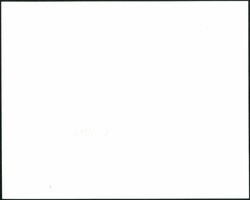 1950s large size press photo (24x20cm) showing front door of Liberty ...