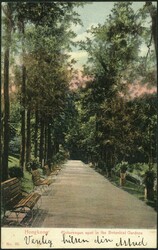 Hong Kong 26-July-1907 picture postcard showing Botanical Garden ...