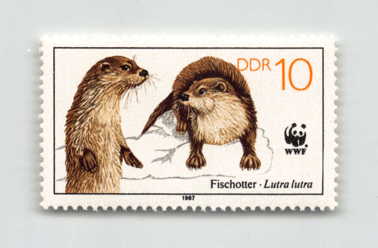 10 Pf., Fischotter, Bedrohte Tiere III, tadellos postfrisch mit ...