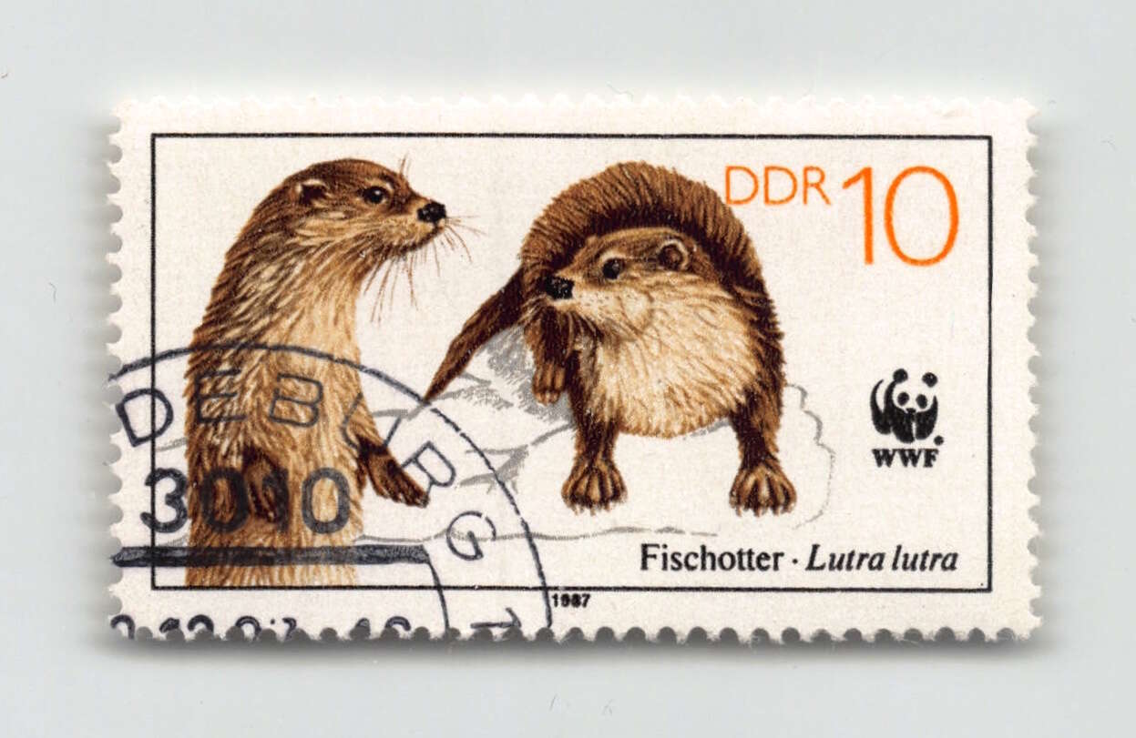 10 Pf., Fischotter, Bedrohte Tiere III, gestempelt und tadellos mit ...
