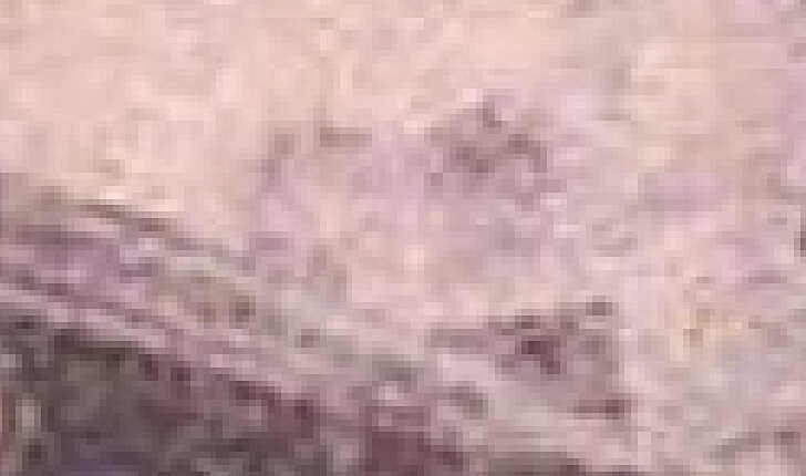 Image 1 for lot number 1556 for Alexander Voigt - Stamps and Postal History Auction