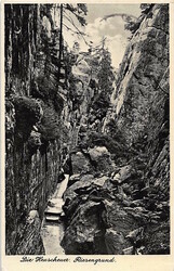 Picture 2 for Lot from Alexander Voigt 