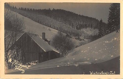 Picture 1 for Lot from Alexander Voigt 