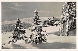 Picture 1 for Lot from Alexander Voigt 