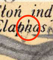 1978, 1,50 Zl., 50. Jahrestag des Warschauer Zoos, Elefanten, ...