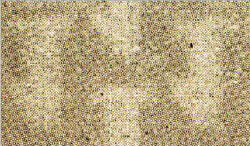 1935, 5 Kop., Kalinin, Oberrandstück mit Bogenrand-Wasserzeichen ...