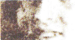 1936, 15 Kop., Pioniere, enge Zähnung, Plattenfehler „Verbrannte ...