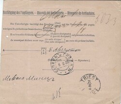 (Palestine) 1906 parcel card to Trieste bearing single franking 10pi. ...