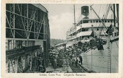 Picture 2 for Lot from Cover Story