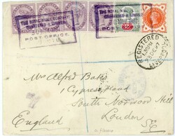 Picture 2 for Lot from Cover Story