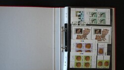 Südwestafrika, interessante Partie von SWA und Namibia in 2 Ordnern, ...