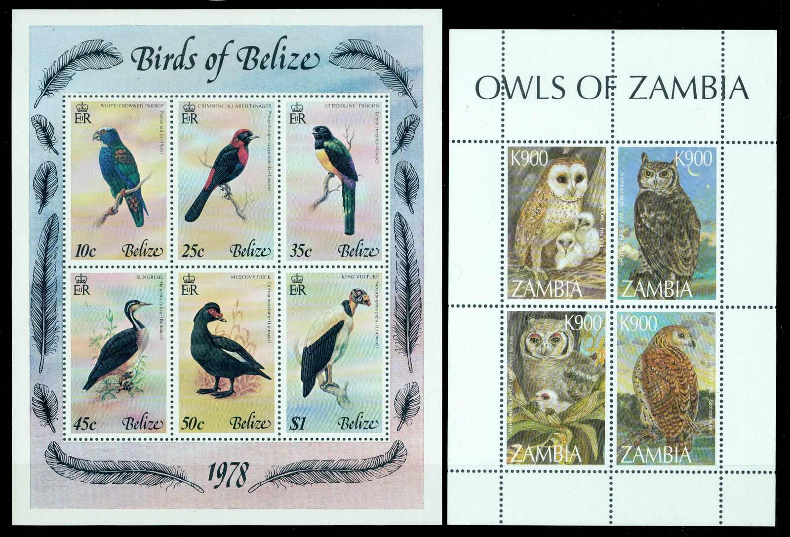 1984, Papageien, Zusammendruck gezähnt und ungezähnt (Bogenecke mit ...