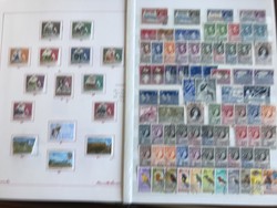 7360: Collections and Lots Africa