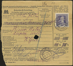Bosnia and Herzegovina, Michel 131 cover, 1917 Kaiser Karl I 25 h ...