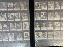 Sweden, Alfa cards. 138 different sport series/"Idrottsserie" + Alfa ...