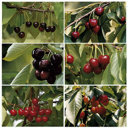 8700: Littérature - Philatelic literature