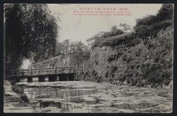 Swap image