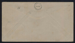 Swap image