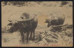 Swap image