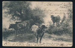 Swap image