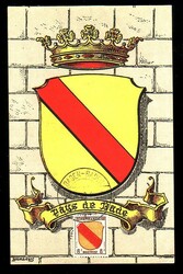 8 Pf. Wappen Baden auf farbiger Maximumkarte 'Pays de Bade' mit ...