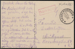 HAUBERSBRONN / 22.10.23, farbige AK 'Gruss aus Steinenberg' mit rotem ...