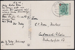 3030: Int.Organisationen, Rotes Kreuz