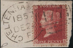 Picture 1 for Lot from Bill Barrell Ltd