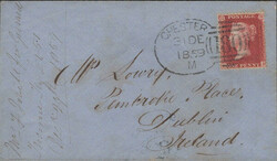 Picture 2 for Lot from Bill Barrell Ltd