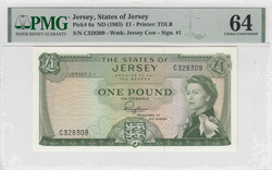 110.210: Banknoten - Jersey