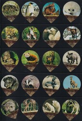 Grosse Kafferahmdeckeli (1968 - 1999) Sammlung in 22 Alben (Teils ...