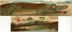 844010: Tiere, Reptilien, allgemein