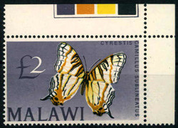 4230: Malawi