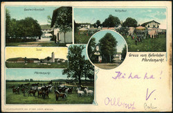 841030: Tiere, Säugetiere, Pferde