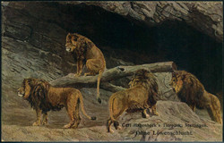 849010: Tiere, Zoologische Gaerten, allgemein