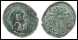 THE JUDAEA CAPTA coins STRUCK 92/93 CE.Â 1458. Î‘Î• 26-28 mm. ...