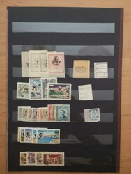 Iran/Irak, Lot (1 Seite) / Iran&amp;Irak, lotto su una pagina