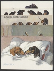 840000: Animals
